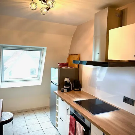 Apartamento Bel Proche Europapark Lipsheim